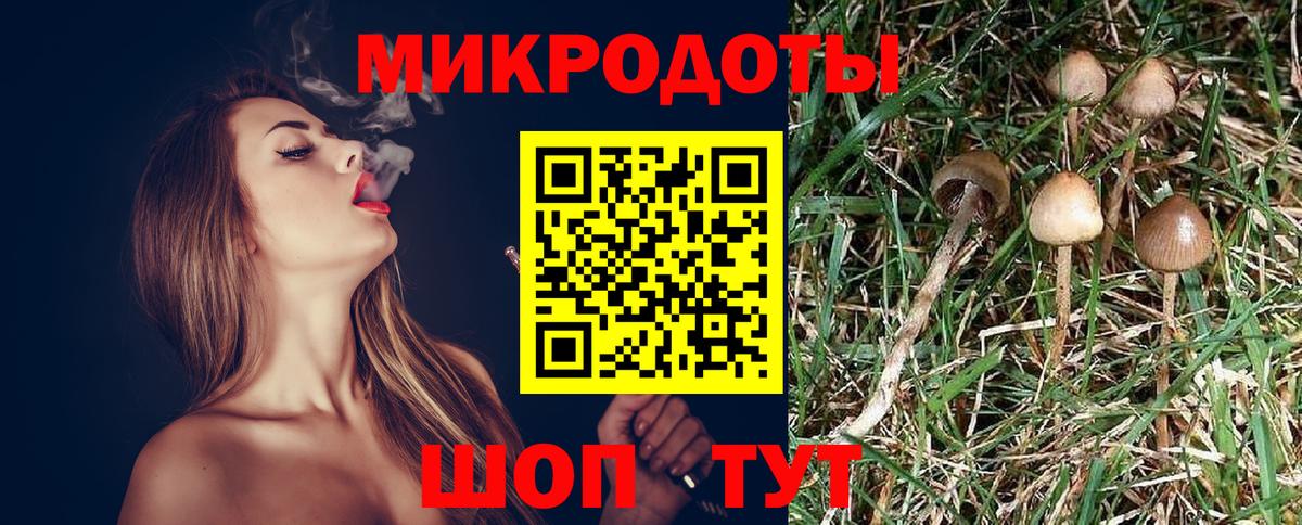 Галлюциногенные грибы Psilocybine cubensis  Вход с VPN  Среднеуральск 